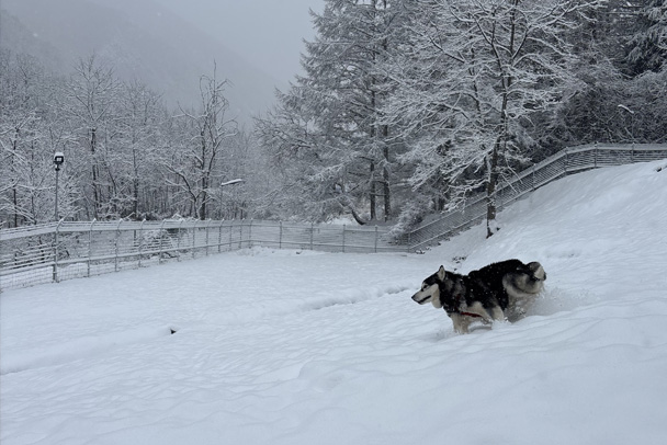 山の自然環境の中