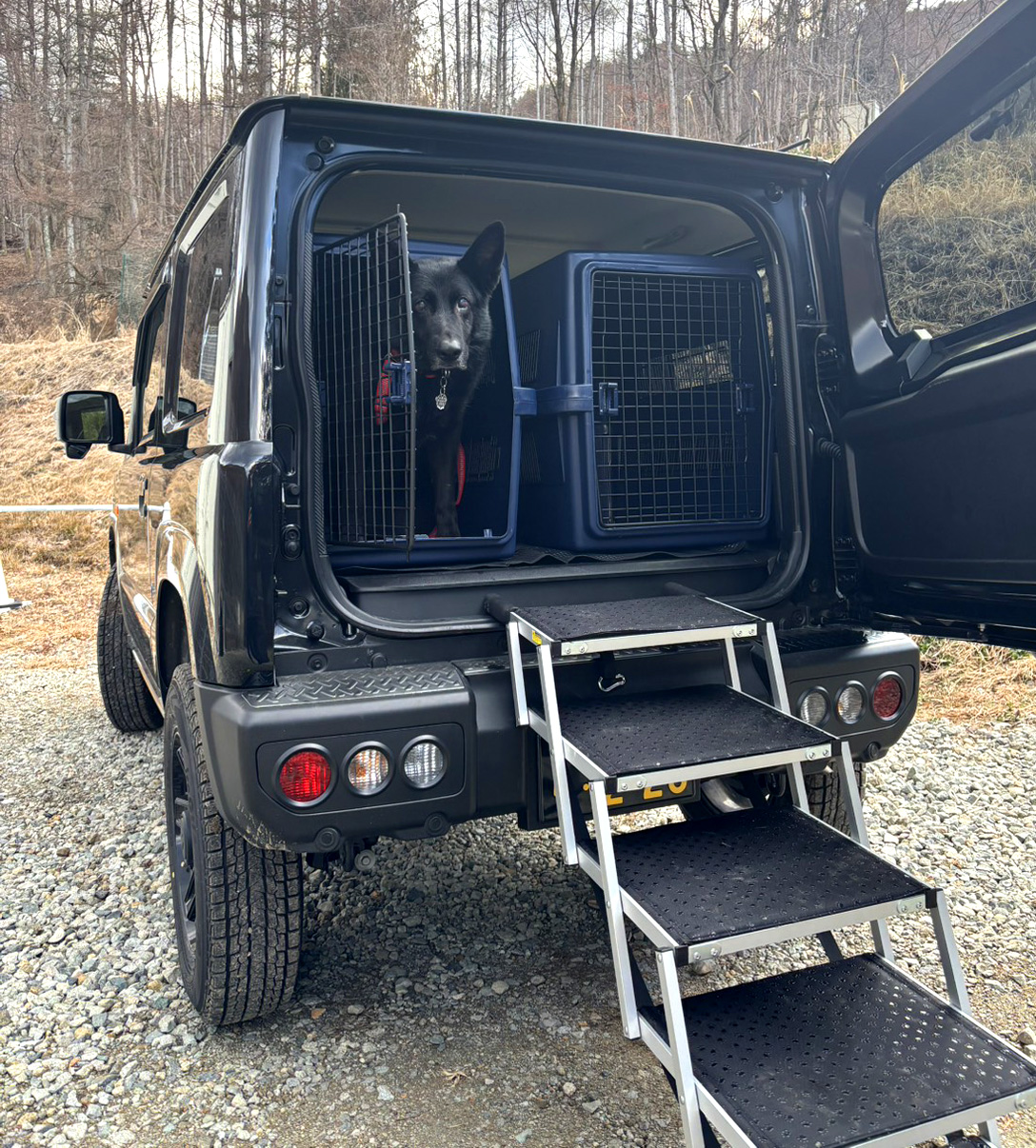 ドッグタクシー